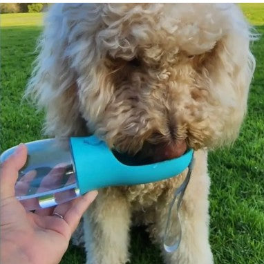 Pet Water Bottle